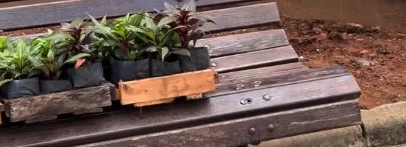 Revitalização do Coreto da Praça da Independência