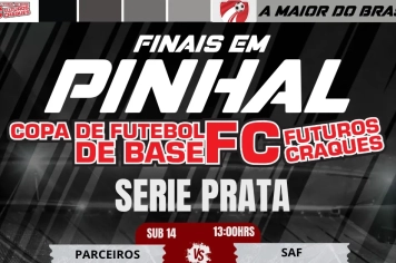 Espírito Santo do Pinhal Sediará Finais da Copa