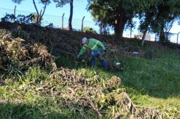 Limpeza e manutenção