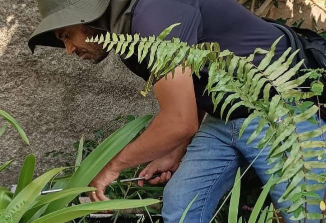 Avaliação de Densidade Larvária em pontos estratégicos da cidade