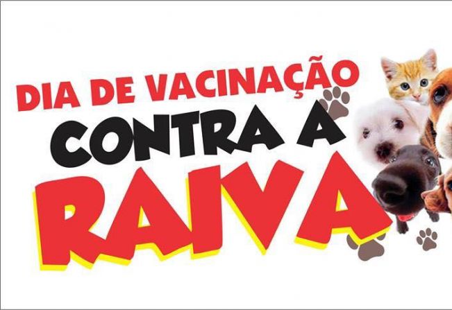 Vacinação contra raiva animal na zona urbana
