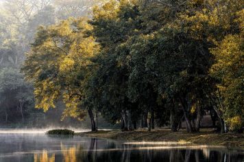 Foto - Espírito Santo do Pinhal