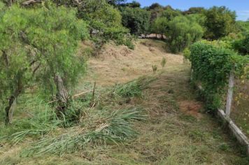 Limpeza, e roçagem Vila São Pedro
