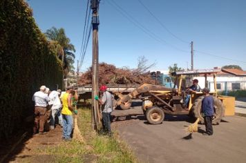 MUTIRÃO DE LIMPEZA JARDIM DAS ROSAS