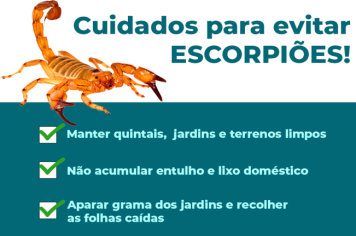DICAS DO CCZ PARA COMBATER ESCORPIÕES