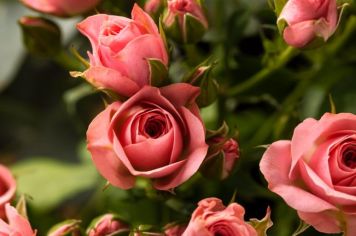 MÊS DAS MULHERES - CAPS AD