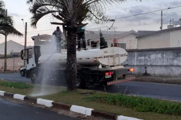 O Departamento de Serviços Urbanos, em parceria com o Departamento de Obras, realiza semanalmente a irrigação dos canteiros das Avenidas