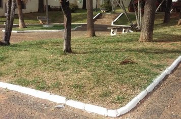 Departamento de Serviços Urbanos segue com limpeza das vias urbanas 