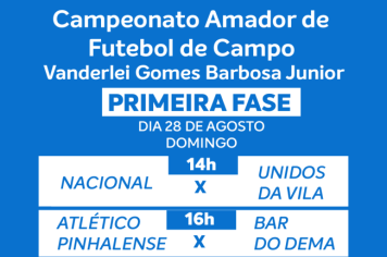 CAMPEONATO AMADOR DE FUTEBOL DE CAMPO 