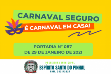 CARNAVAL SEGURO É CARNAVAL EM CASA