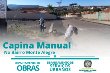 CAPINA MANUAL DE MEIO-FIO 