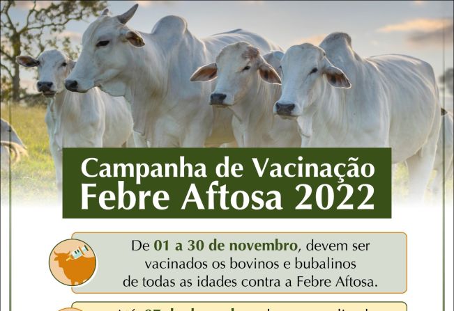 CAMPANHA DE ERRADICAÇÃO DA FEBRE AFTOSA