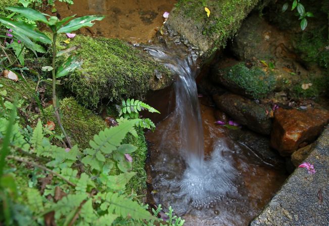 Departamento de Meio Ambiente incentiva cadastramento no banco de áreas do 